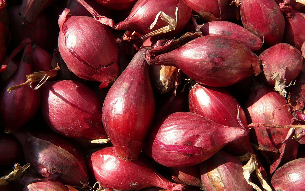 Shallots Complete Information Including Health Benefits, Selection